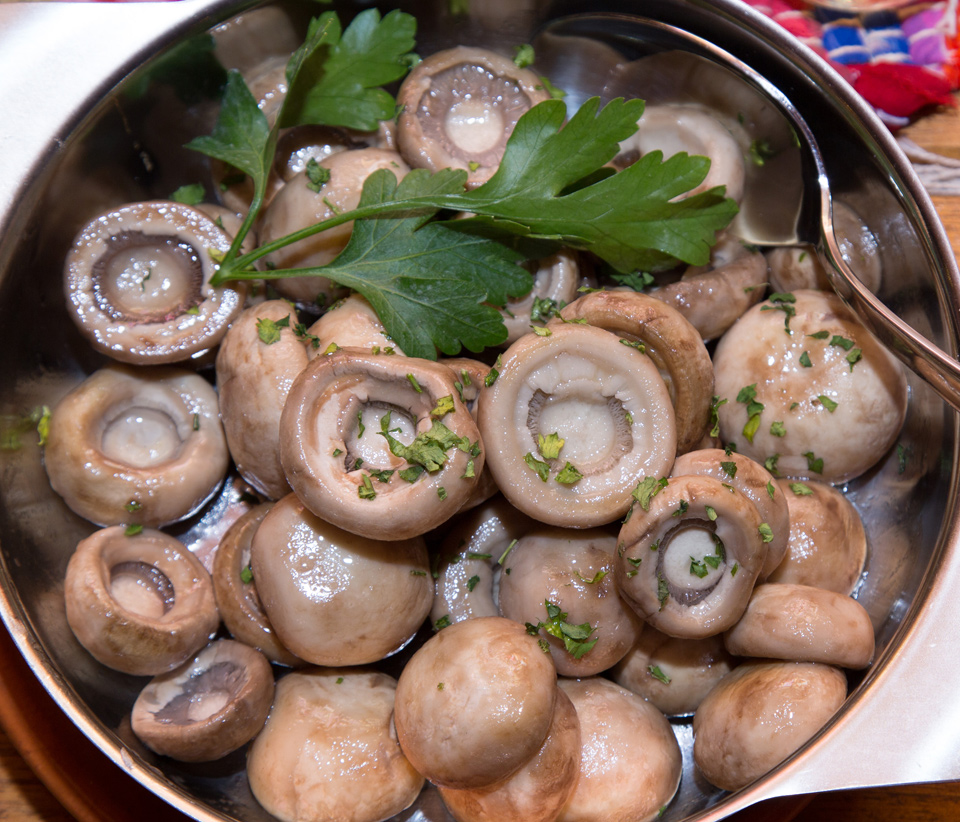 ТОПЛА ПРЕДЈЕЛА